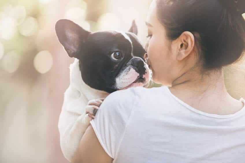 onvoorwaardelijke liefde hond