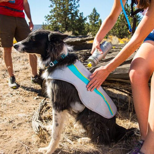 koelvest voor de hond