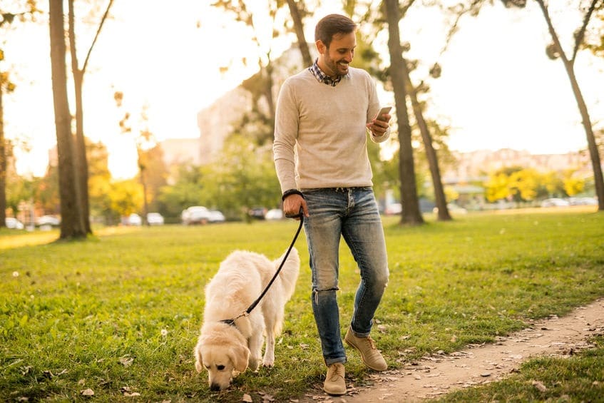 Hond uitlaten met telefoon