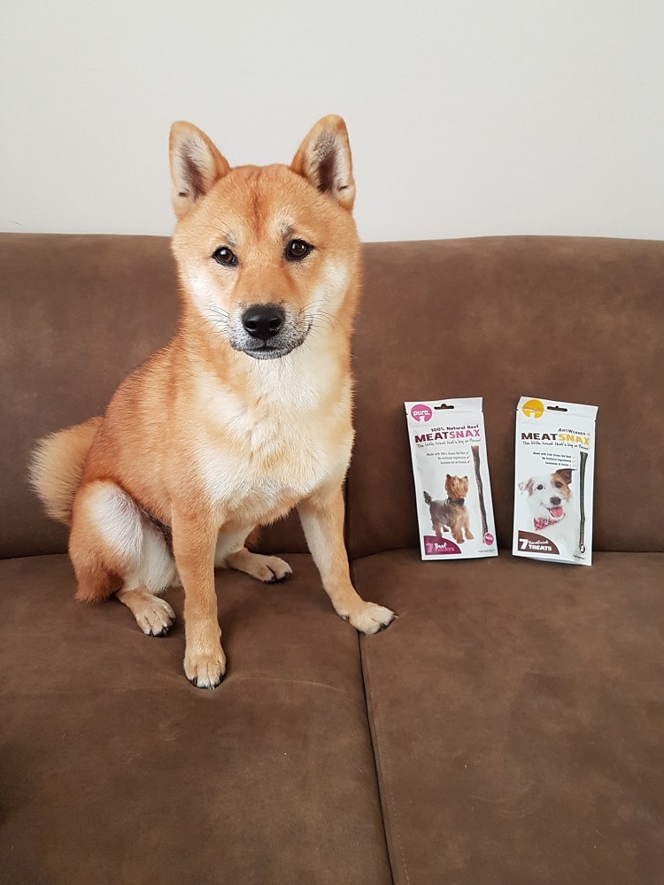 Aiki test Meatsnax - The Dog Pen
