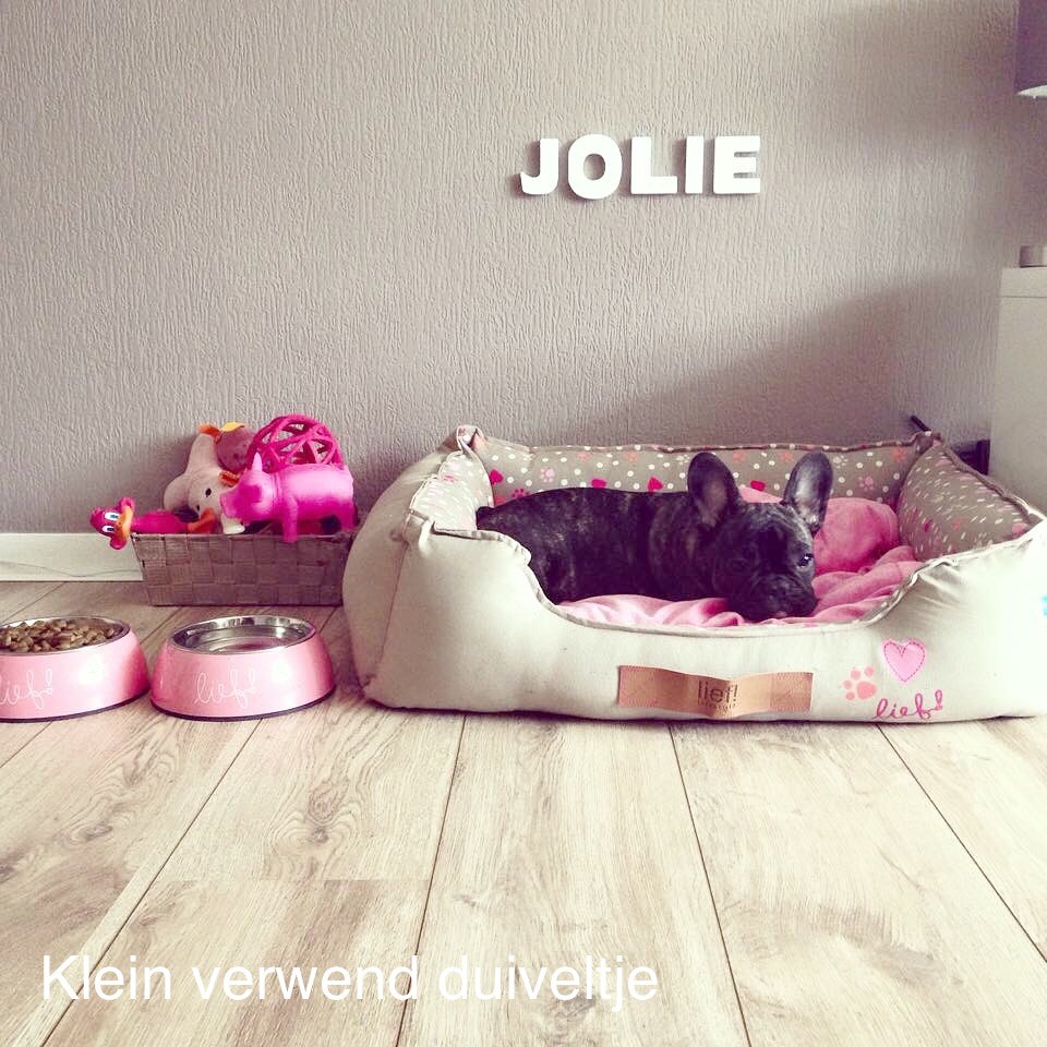 Jolie verwend