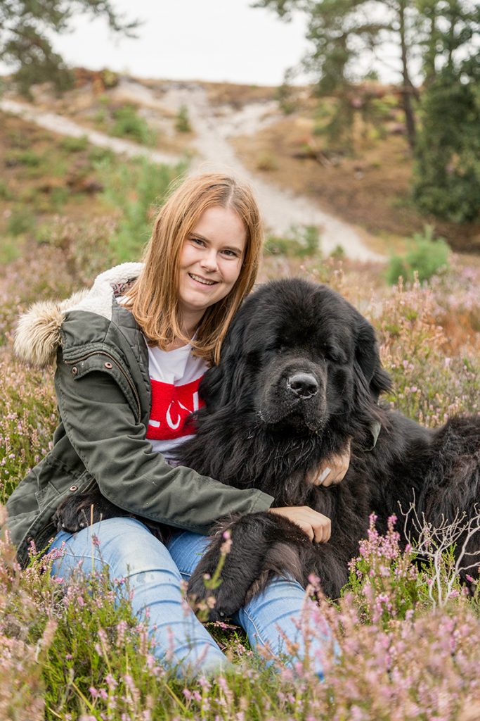 Fotoshoot van de hond Bumper en Fender