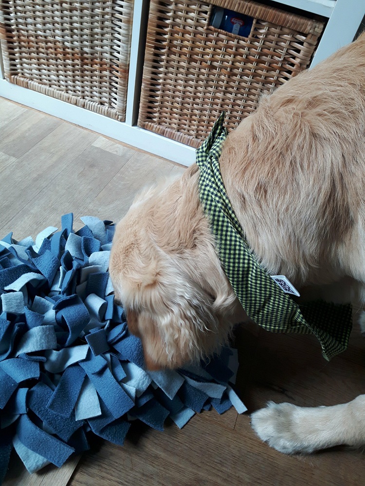 Guus aan het snuffelen