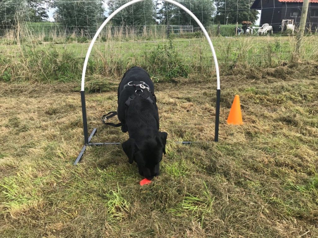 Door hooper naar target