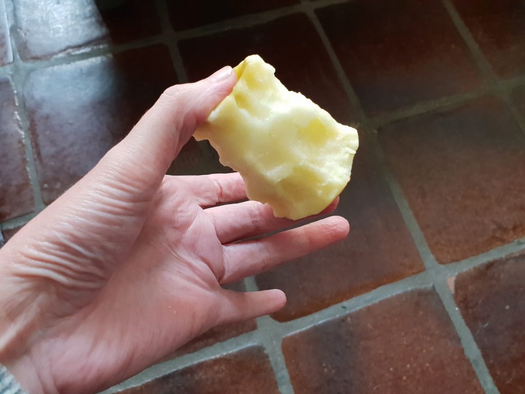 Klokhuis van de appel