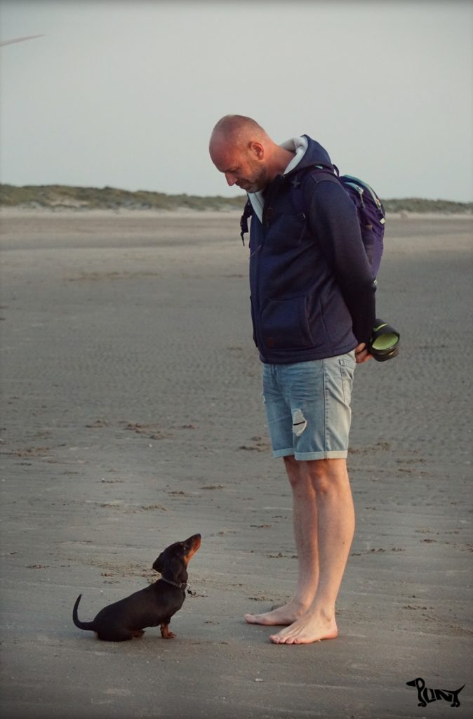 Plint op het strand