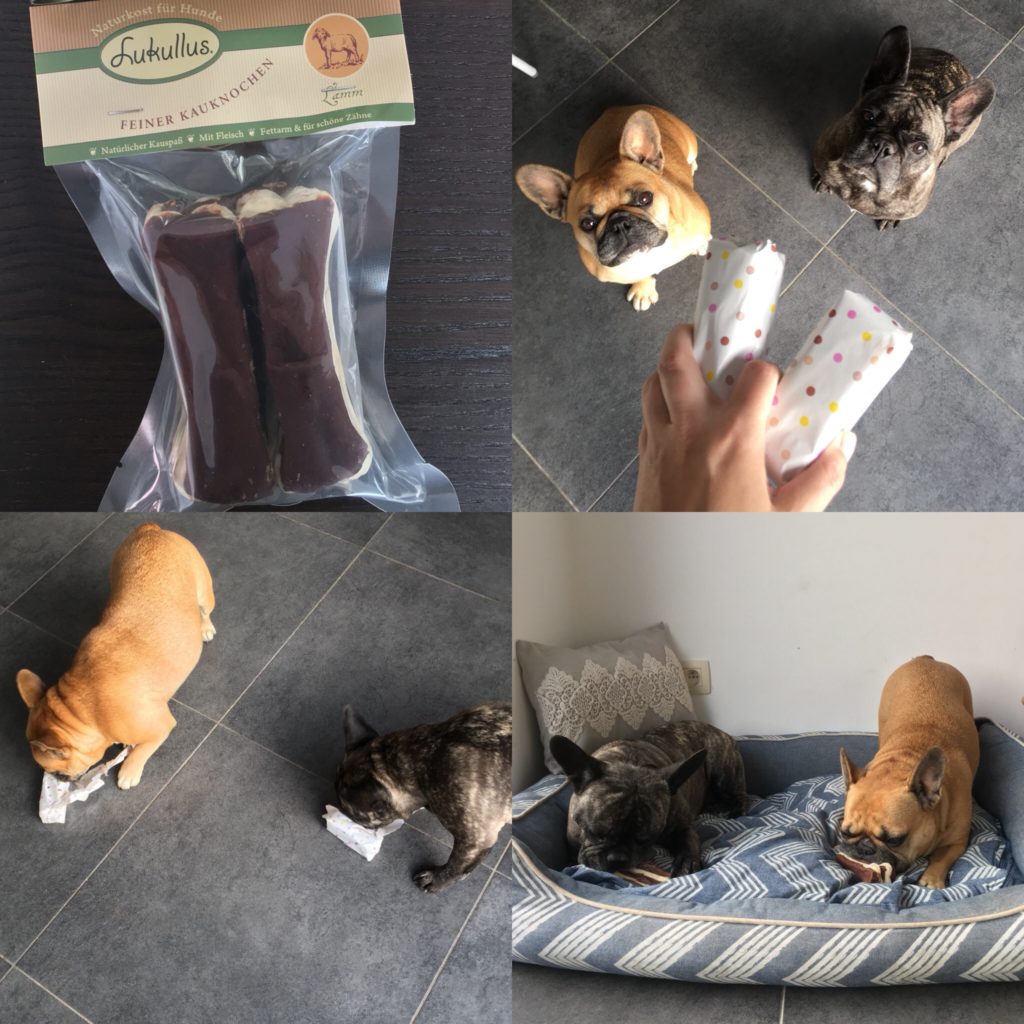 dierendag cadeautjes uitpakken