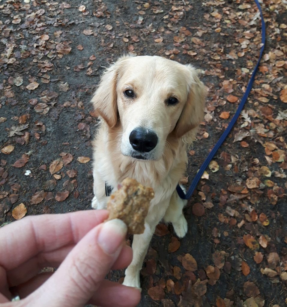 Guus test Lakse Kronch zalmkoekjes