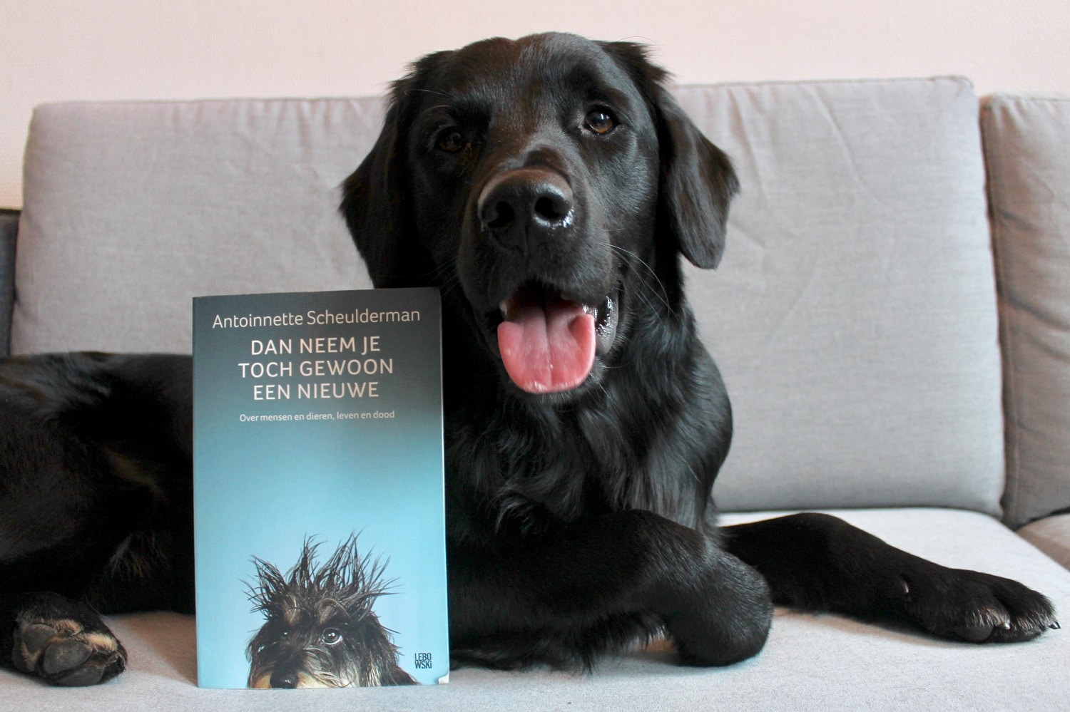 ‘Dan neem je toch gewoon een nieuwe’ – Antoinnette Scheulderman - The