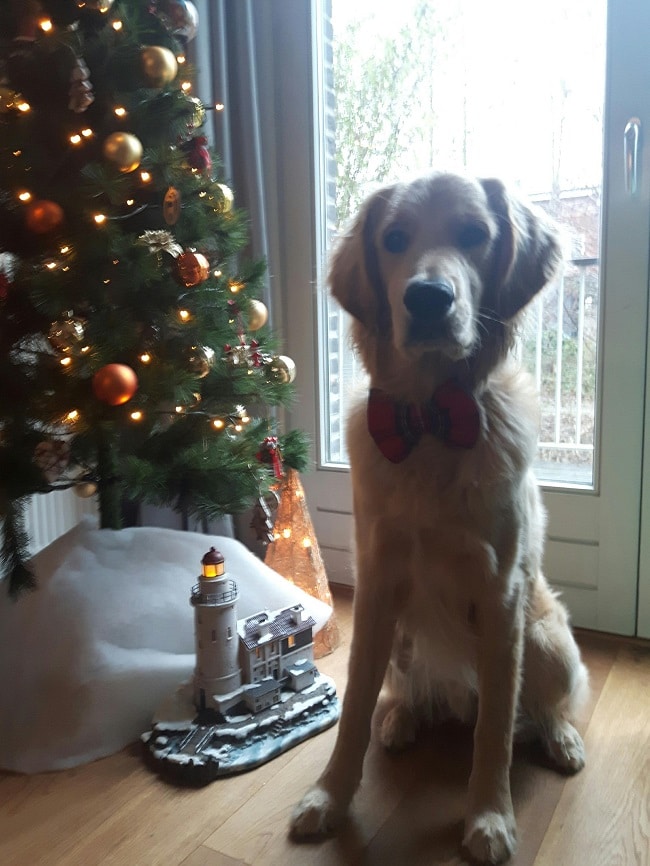 guus zijn eerste kerst