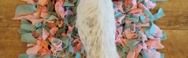 DIY snuffelmat maken