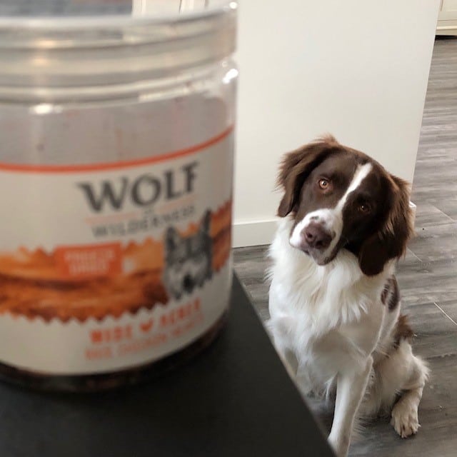 Wolf of Wilderness treats