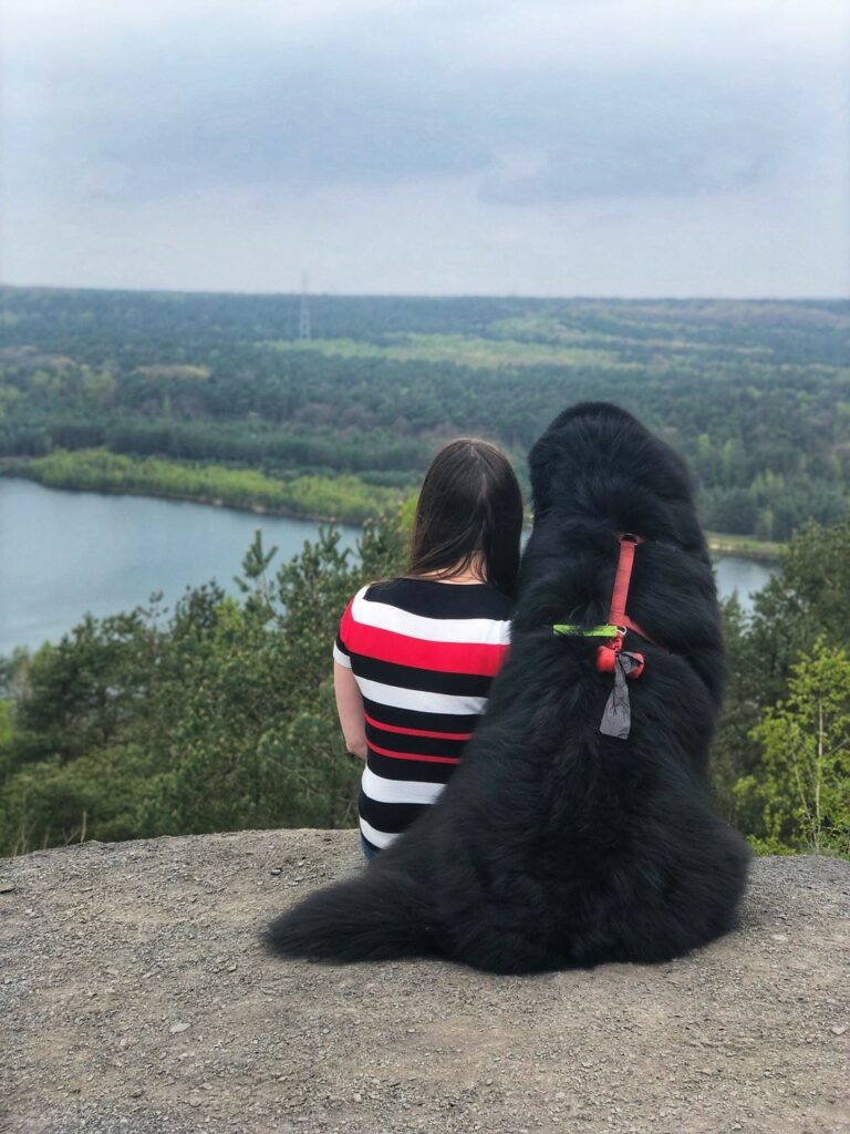 Wandelen met de hond in Connecterra