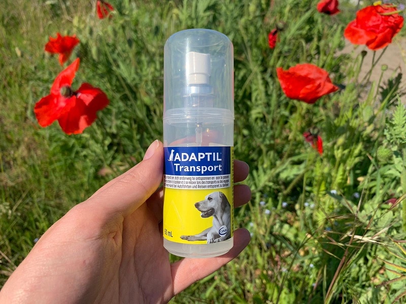 Adaptil transport spray