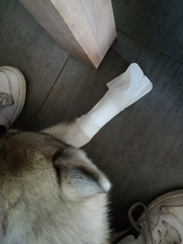 review pawflex pootverband hond