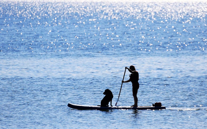 paddle board met hond