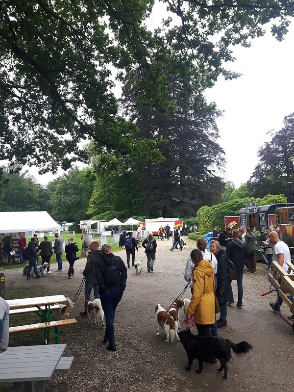 bark in the park 2019