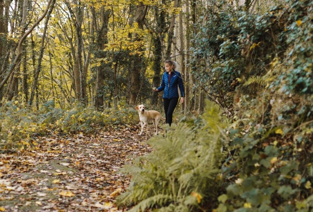 wandelenb met de hond in maashorst