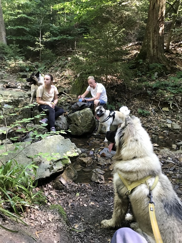 Yiska Akita wandeling