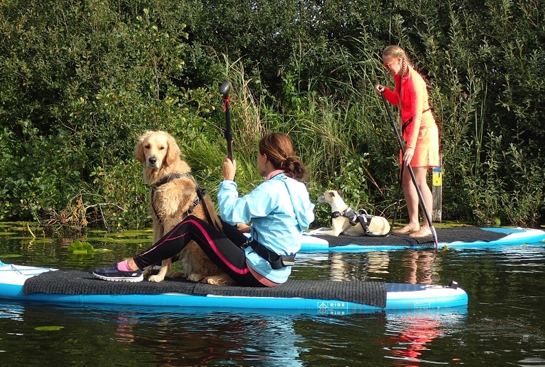 suppen met de hond Guus op supboard