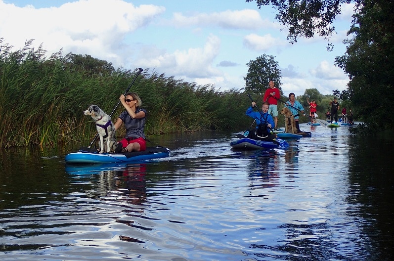 Suppen met de hond cursus in een groep