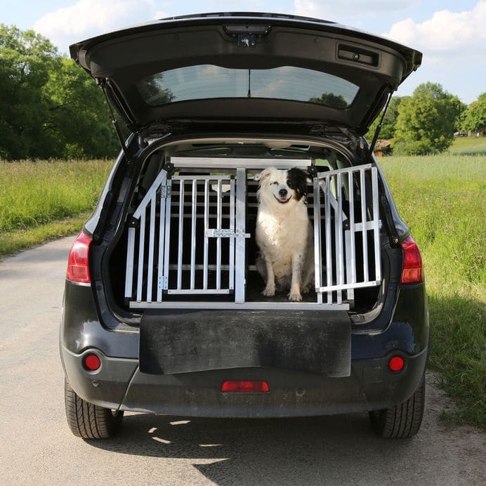 Honden autobench