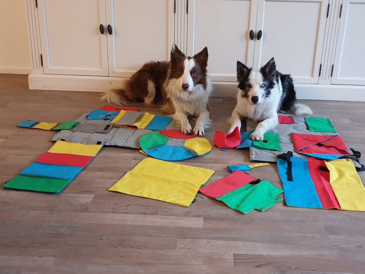 buster activity mat