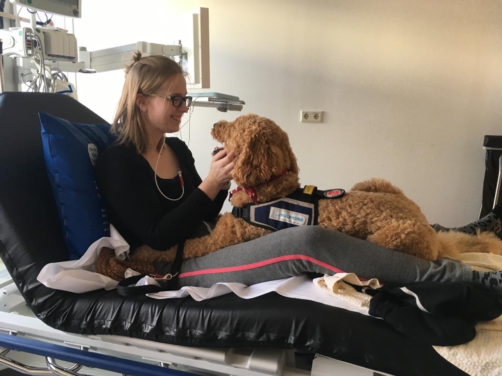 mindy met hulphond op ziekenhuisbed