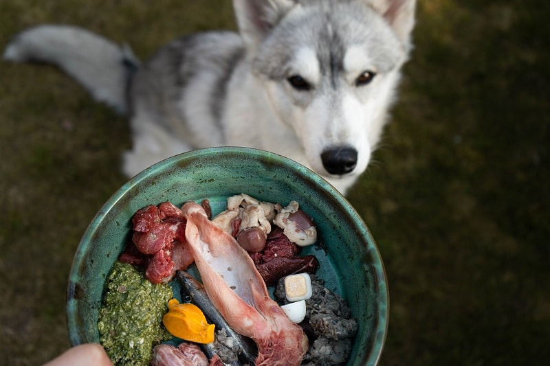 River eet BARF