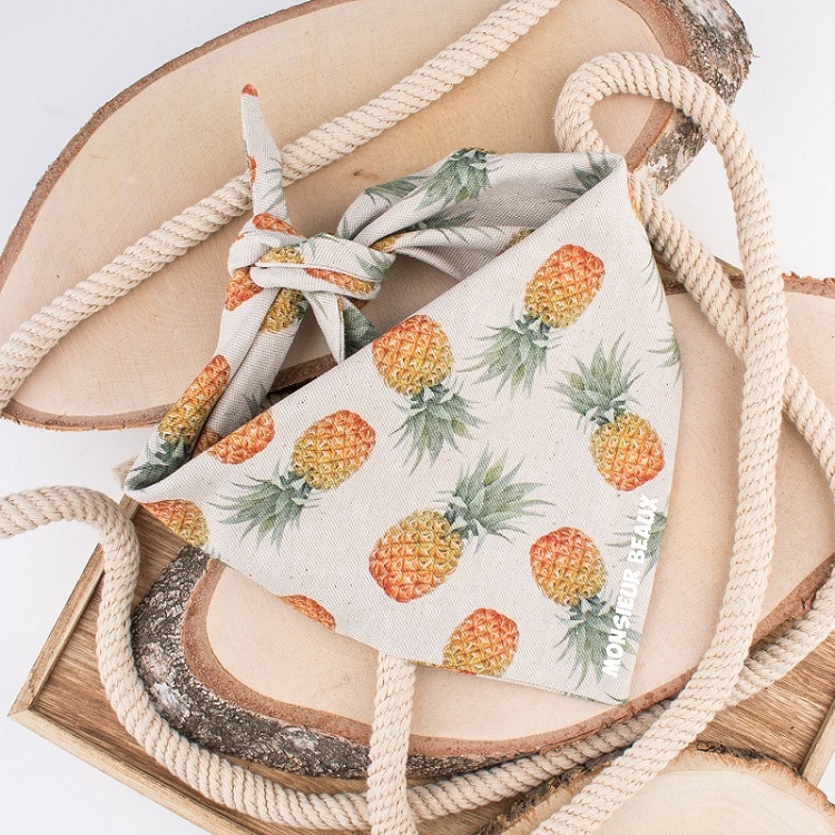 Bandana hond ananas