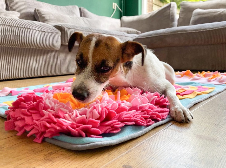 Snuffelmatten voor de hond