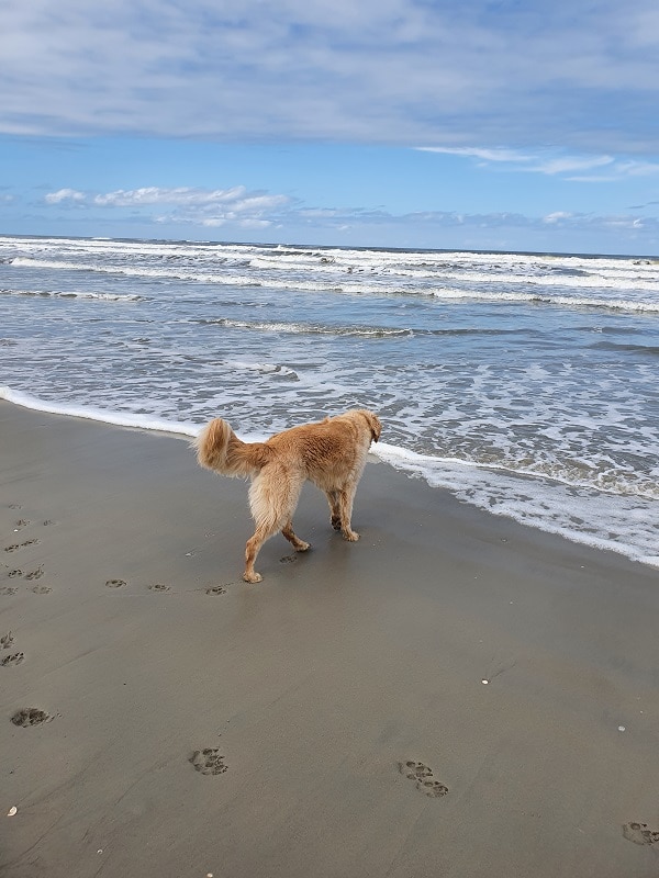 Guus op het strand