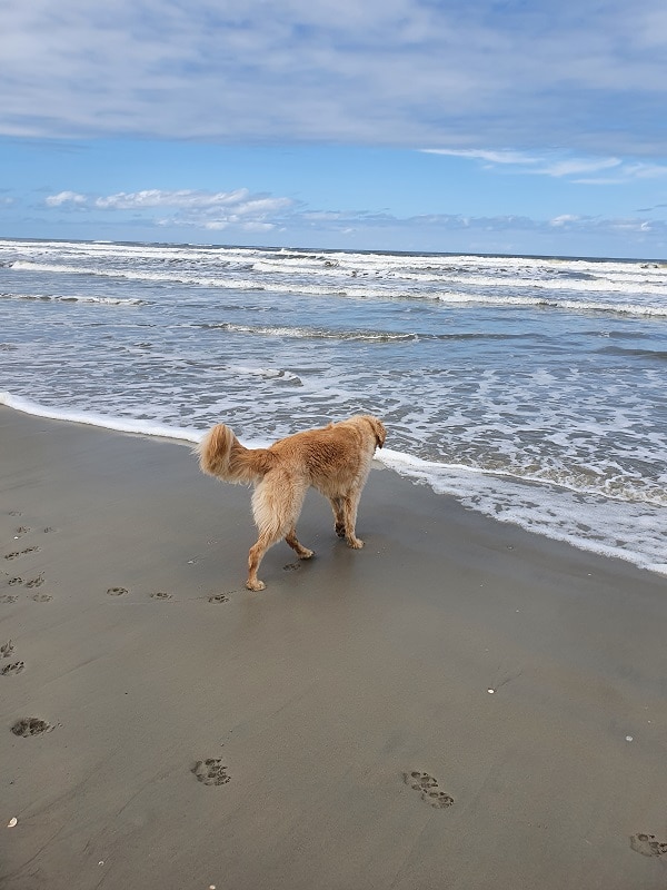 Guus op het strand