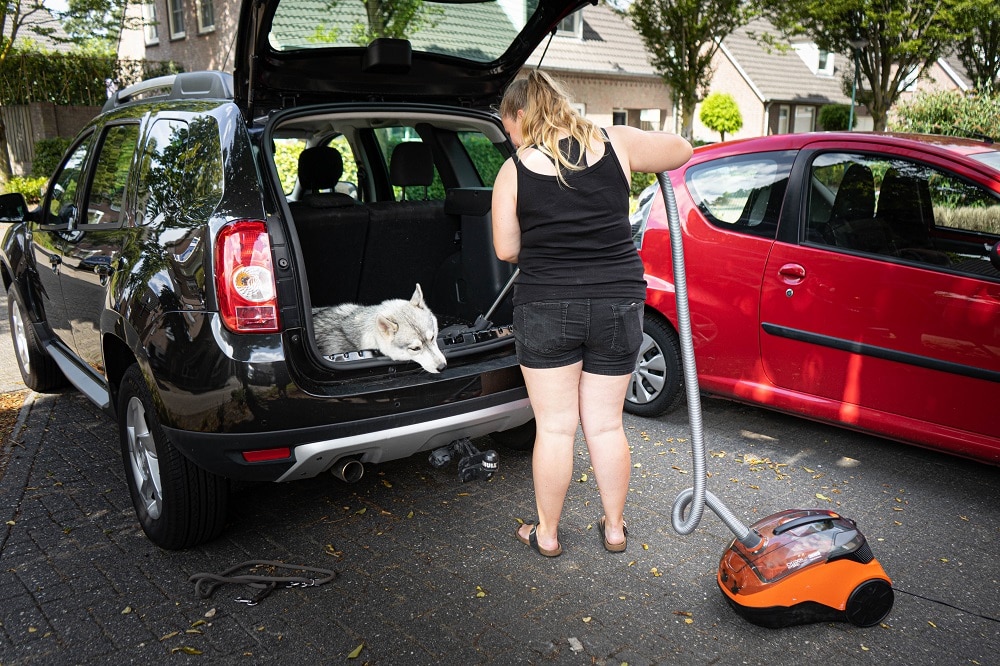 Thomas stofzuiger hond auto stofzuigen