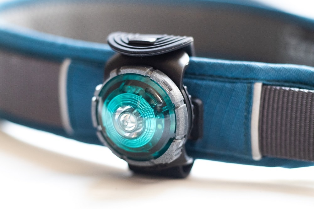 Orbiloc om de halsband