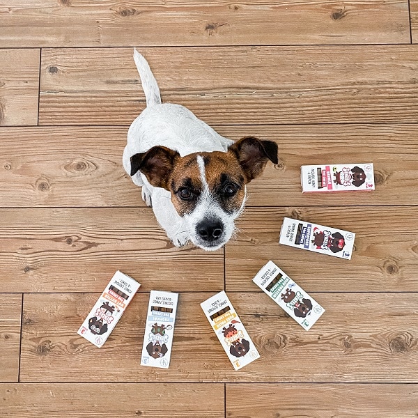 poes de hond met alle smaken denzels kauwsticks