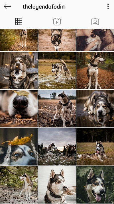 mooie feed op Instagram Legend of Odin