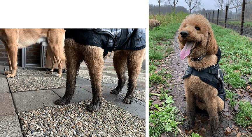 Tynke met regenjas