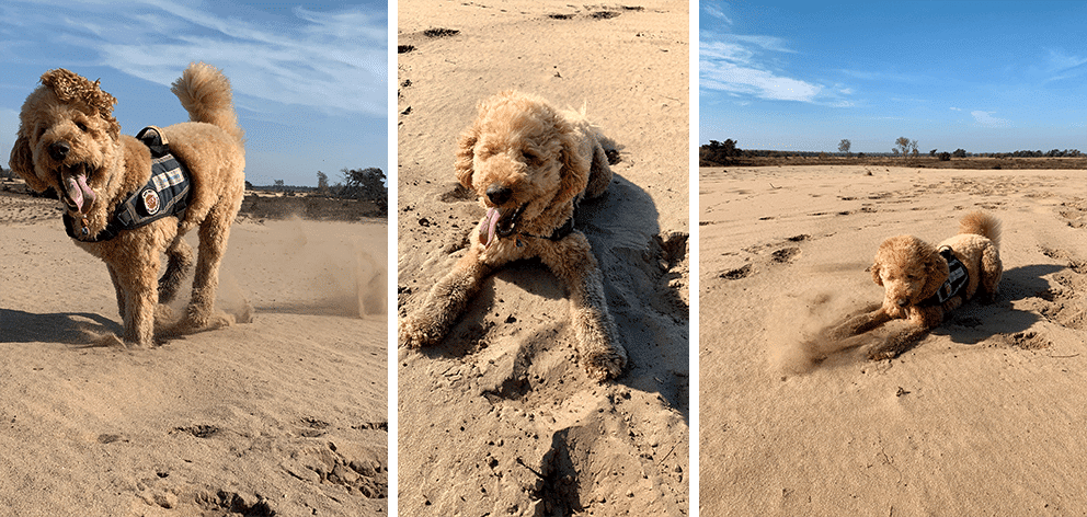 Spelen in het zand