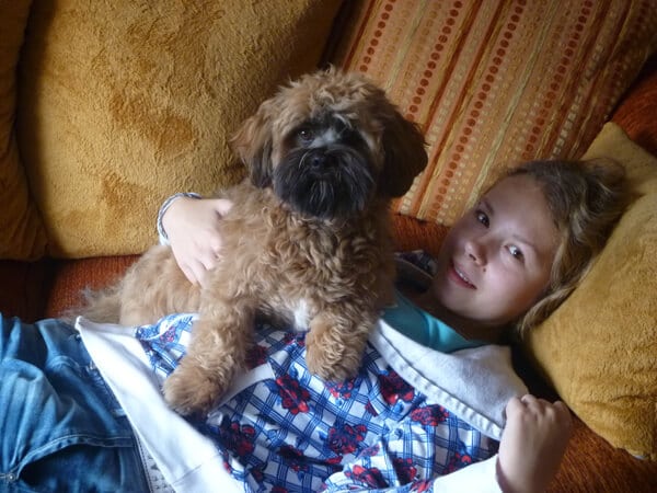 lhaso apso djairo met Sharon