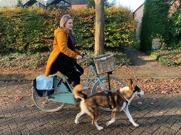 Fietsen met hond