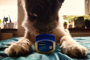 Yiska met de Vaseline