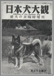 historie Akita