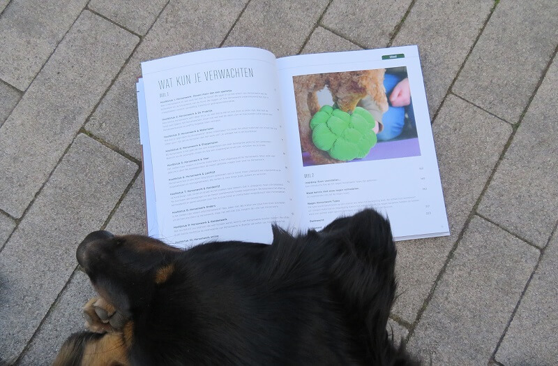 Hersenwerk voor honden boek