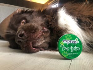 Bumper met de Espree Paw Balm