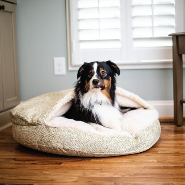 Hondenmand Cosy Cave rond met Border Collie