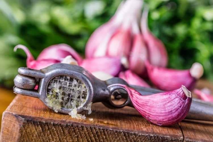 Knoflook tegen vlooien en teken