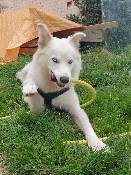 Lena met tuinslang