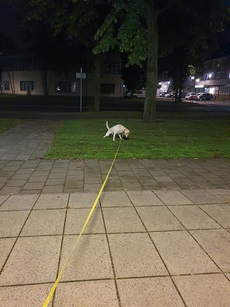 Op commando plassen