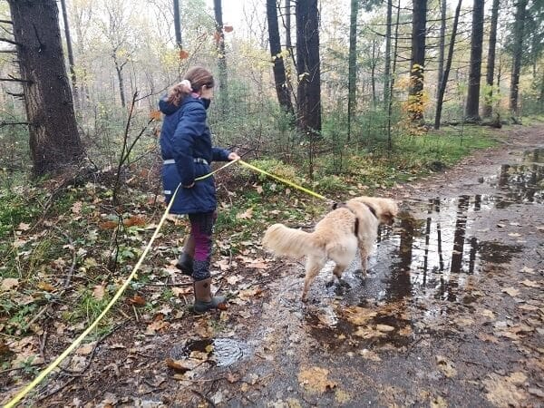 Speuren met Guus in het bos